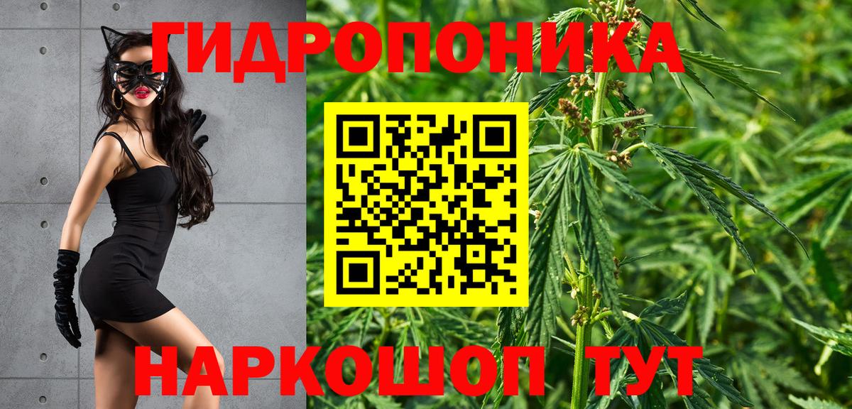 Тихорецк  МАРИХУАНА Bruce Banner  Вход с VPN  МАРИХУАНА Ganja  Каннабис планчик 